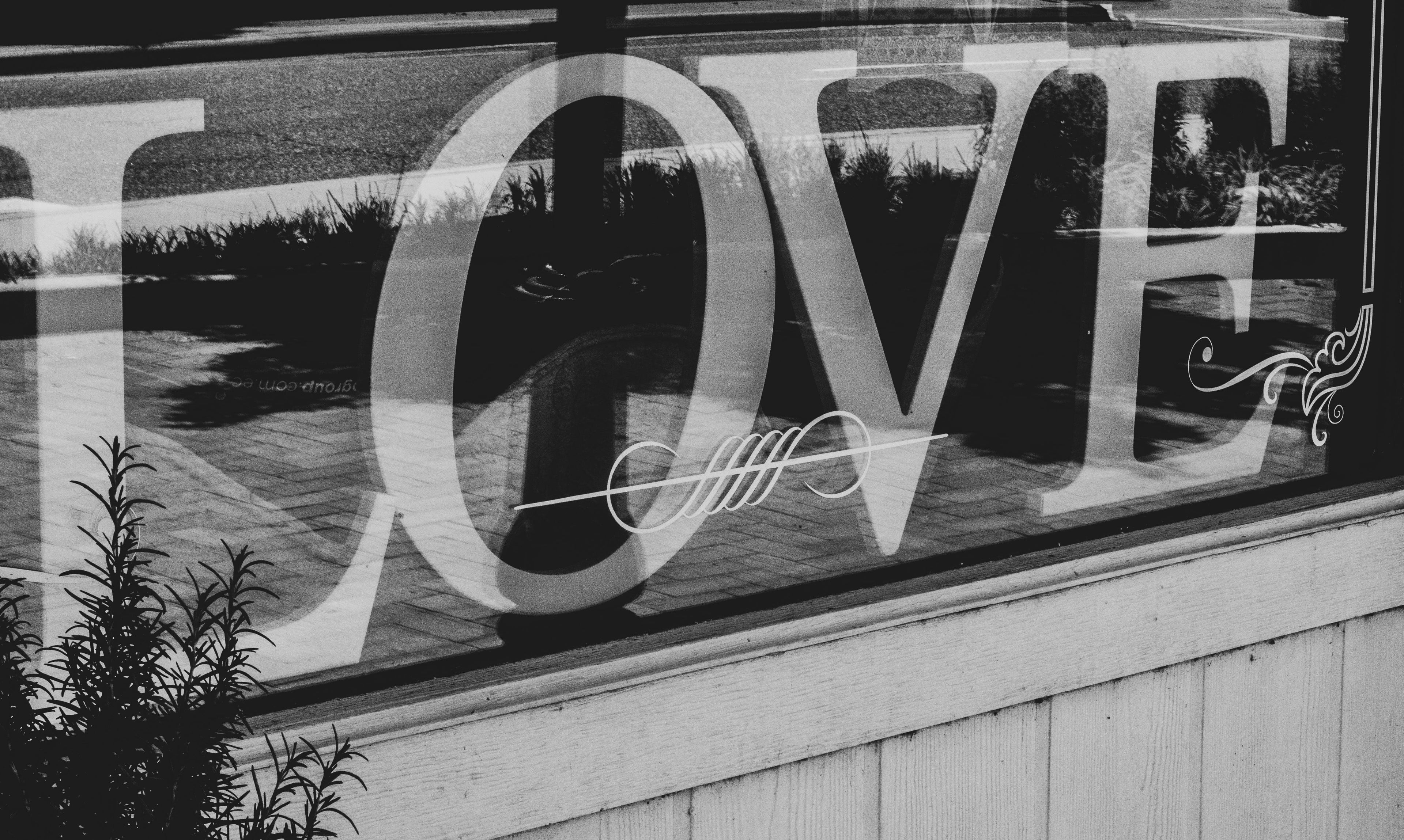 Window Graphics