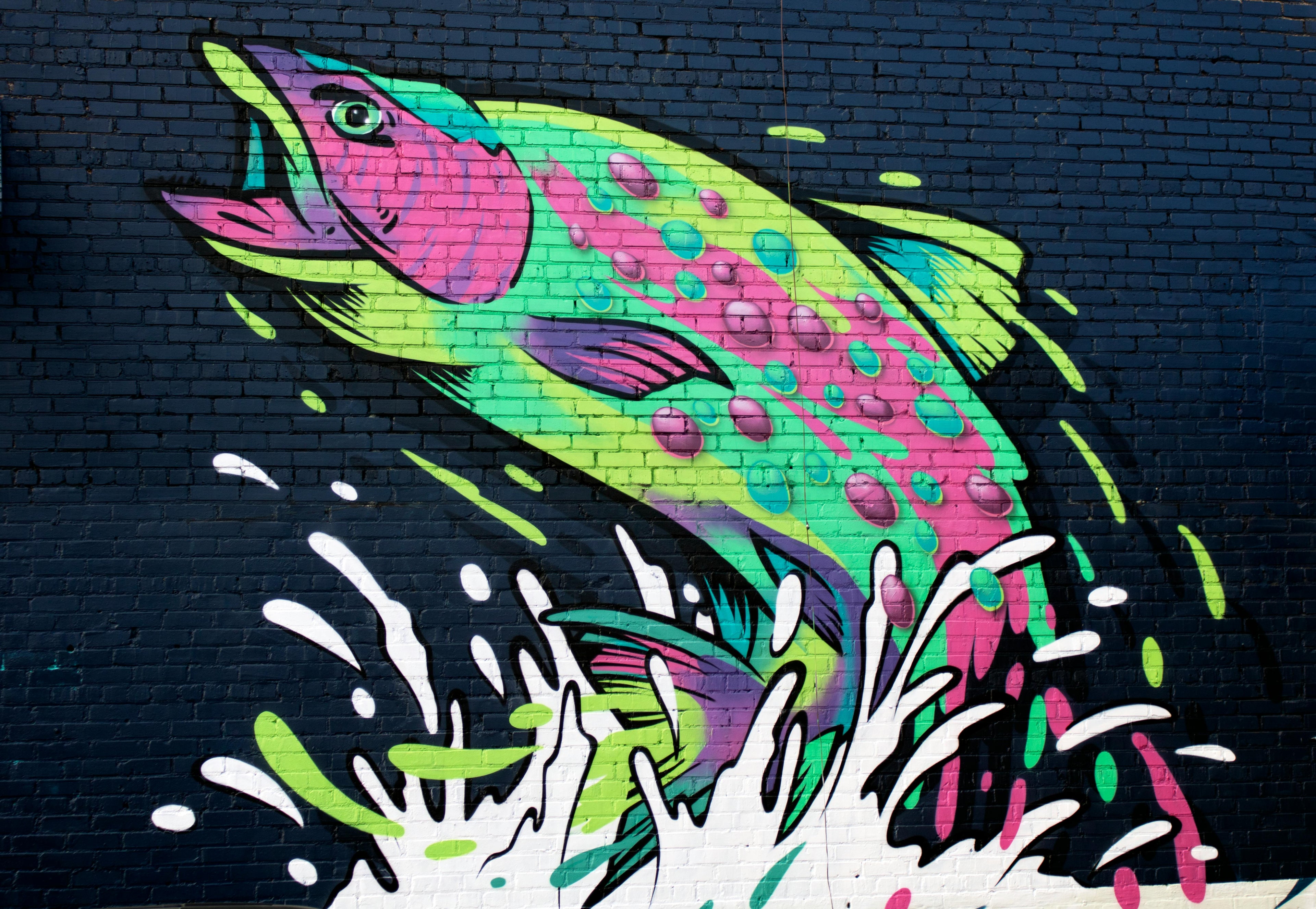 Wall Murals
